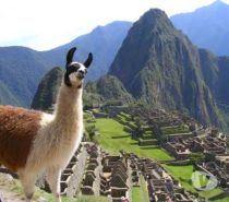 location saisonniere Pérou - Photos Vivastreet PEROU.COLCA - Originales LOCATIONS De VACANCES Solidaires !